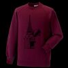 Kids raglan sleeve sweatshirt Thumbnail