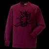 Kids raglan sleeve sweatshirt Thumbnail
