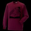 Kids raglan sleeve sweatshirt Thumbnail