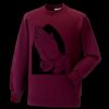 Kids raglan sleeve sweatshirt Thumbnail
