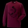 Kids raglan sleeve sweatshirt Thumbnail
