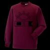 Kids raglan sleeve sweatshirt Thumbnail