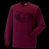Kids raglan sleeve sweatshirt Thumbnail