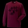 Kids raglan sleeve sweatshirt Thumbnail
