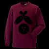 Kids raglan sleeve sweatshirt Thumbnail