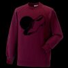 Kids raglan sleeve sweatshirt Thumbnail