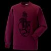 Kids raglan sleeve sweatshirt Thumbnail