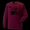 Kids raglan sleeve sweatshirt Thumbnail