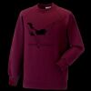 Kids raglan sleeve sweatshirt Thumbnail