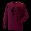 Kids raglan sleeve sweatshirt Thumbnail