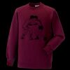 Kids raglan sleeve sweatshirt Thumbnail