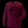 Kids raglan sleeve sweatshirt Thumbnail