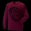Kids raglan sleeve sweatshirt Thumbnail