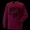 Kids raglan sleeve sweatshirt Thumbnail