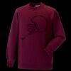 Kids raglan sleeve sweatshirt Thumbnail
