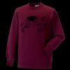 Kids raglan sleeve sweatshirt Thumbnail