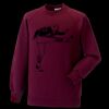 Kids raglan sleeve sweatshirt Thumbnail