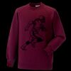 Kids raglan sleeve sweatshirt Thumbnail