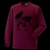 Kids raglan sleeve sweatshirt Thumbnail