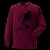 Kids raglan sleeve sweatshirt Thumbnail
