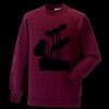 Kids raglan sleeve sweatshirt Thumbnail