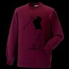 Kids raglan sleeve sweatshirt Thumbnail