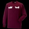 Kids raglan sleeve sweatshirt Thumbnail