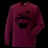 Kids raglan sleeve sweatshirt Thumbnail