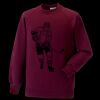 Kids raglan sleeve sweatshirt Thumbnail