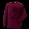Kids raglan sleeve sweatshirt Thumbnail