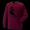 Kids raglan sleeve sweatshirt Thumbnail