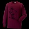 Kids raglan sleeve sweatshirt Thumbnail