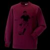 Kids raglan sleeve sweatshirt Thumbnail