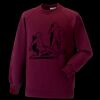 Kids raglan sleeve sweatshirt Thumbnail