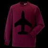 Kids raglan sleeve sweatshirt Thumbnail