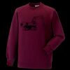 Kids raglan sleeve sweatshirt Thumbnail