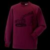 Kids raglan sleeve sweatshirt Thumbnail