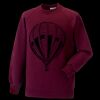 Kids raglan sleeve sweatshirt Thumbnail