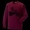 Kids raglan sleeve sweatshirt Thumbnail