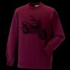 Kids raglan sleeve sweatshirt Thumbnail