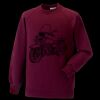 Kids raglan sleeve sweatshirt Thumbnail