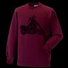 Kids raglan sleeve sweatshirt Thumbnail
