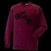 Kids raglan sleeve sweatshirt Thumbnail