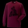Kids raglan sleeve sweatshirt Thumbnail