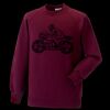Kids raglan sleeve sweatshirt Thumbnail