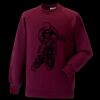 Kids raglan sleeve sweatshirt Thumbnail