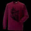 Kids raglan sleeve sweatshirt Thumbnail
