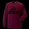 Kids raglan sleeve sweatshirt Thumbnail