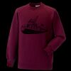 Kids raglan sleeve sweatshirt Thumbnail