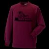 Kids raglan sleeve sweatshirt Thumbnail